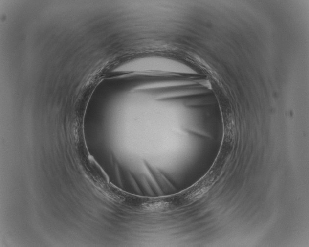 X0000071780452200607211601