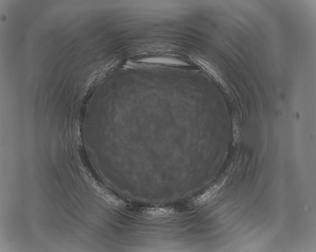 X0000071780453200607211601