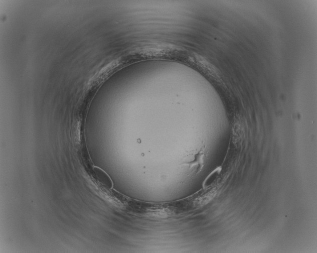 X0000071780454200607211601