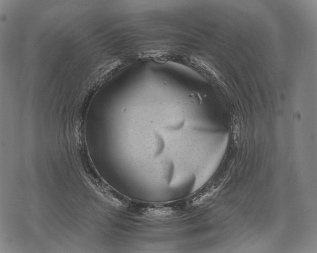 X0000071780455200607211601