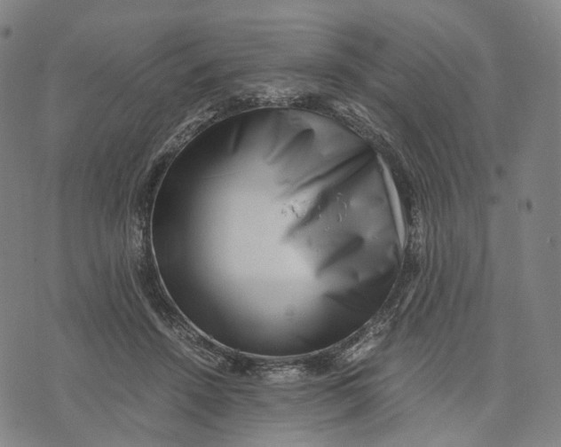 X0000071780456200607211601