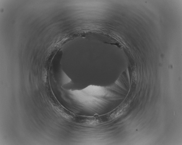 X0000071780458200607211601