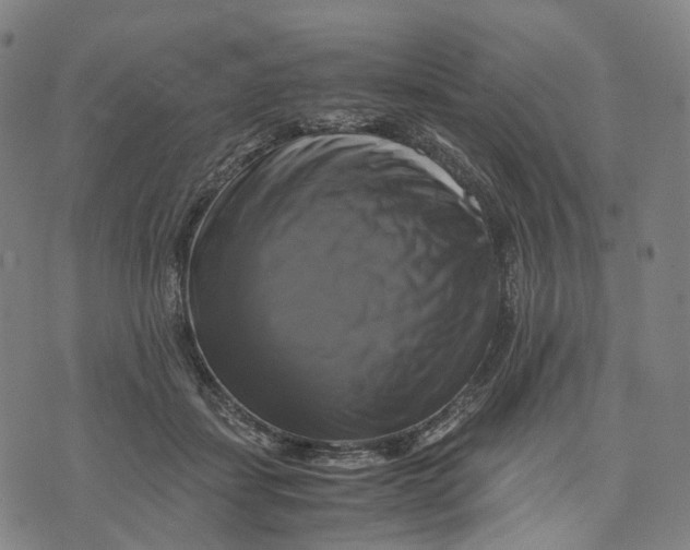 X0000071780459200607211601