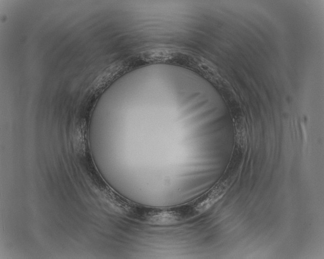 X0000071780460200607211601