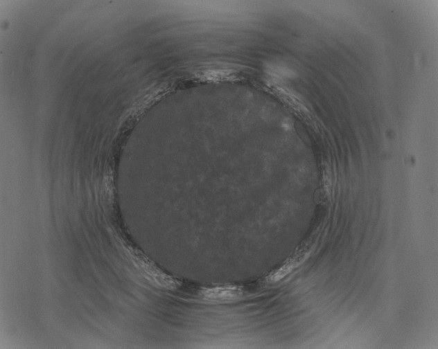 X0000071780461200607211601