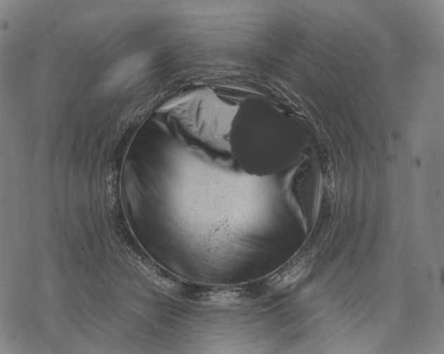 X0000071780462200607211601