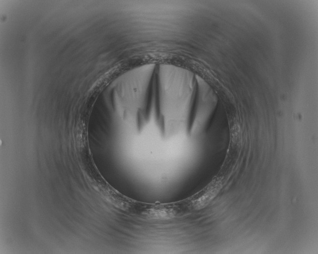 X0000071780464200607211601