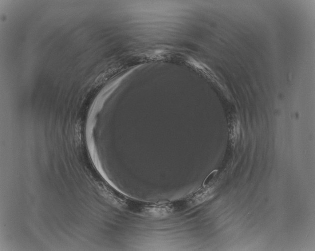 X0000071780466200607211601