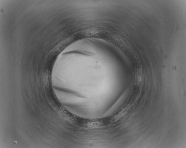 X0000071780468200607211601