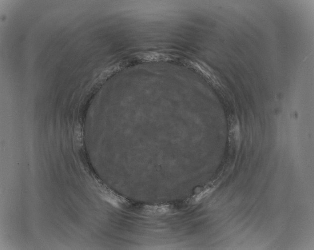 X0000071780469200607211601