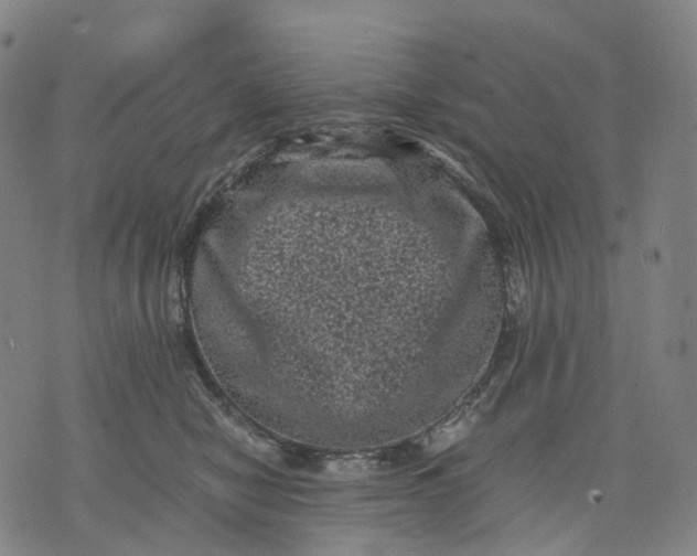 X0000071780470200607211601