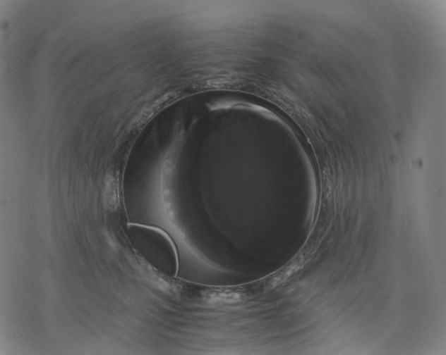 X0000071780471200607211601