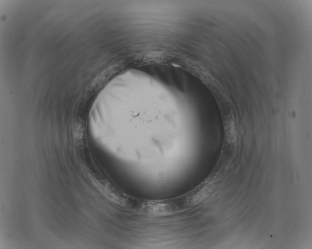 X0000071780472200607211601