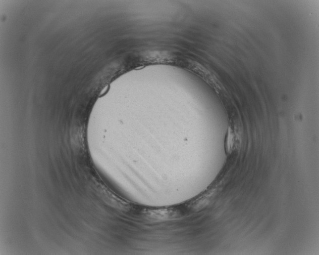 X0000071780473200607211601