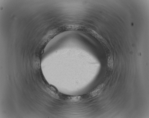 X0000071780474200607211601