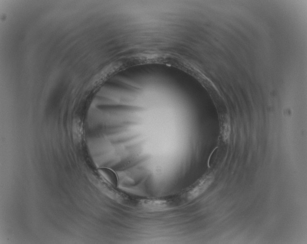 X0000071780476200607211601