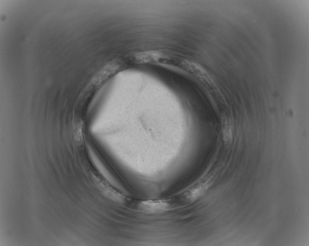 X0000071780477200607211601