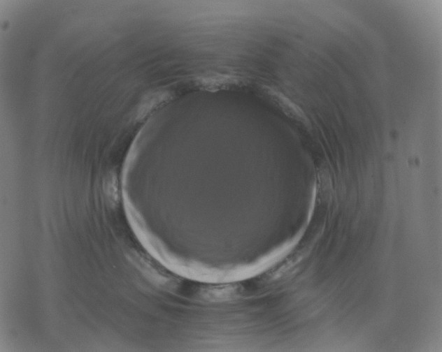 X0000071780479200607211601