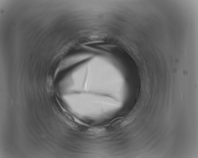 X0000071780480200607211601