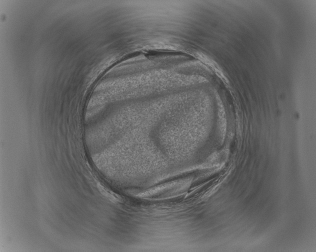 X0000071780481200607211601