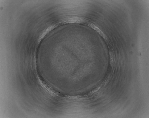 X0000071780482200607211601