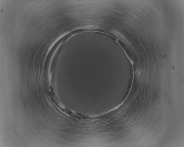 X0000071780484200607211601