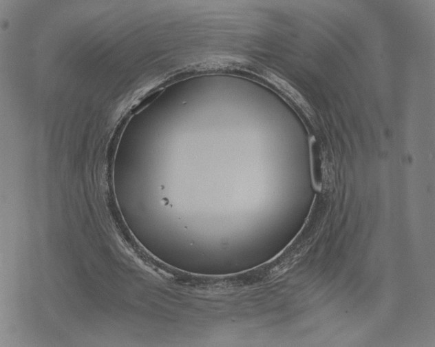 X0000071780485200607211601