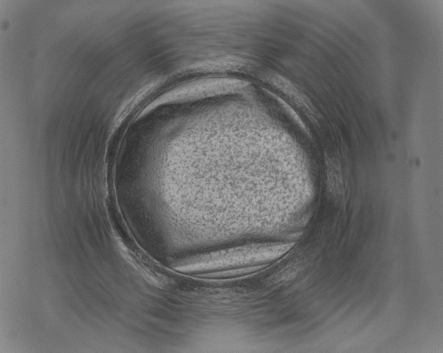 X0000071780486200607211601