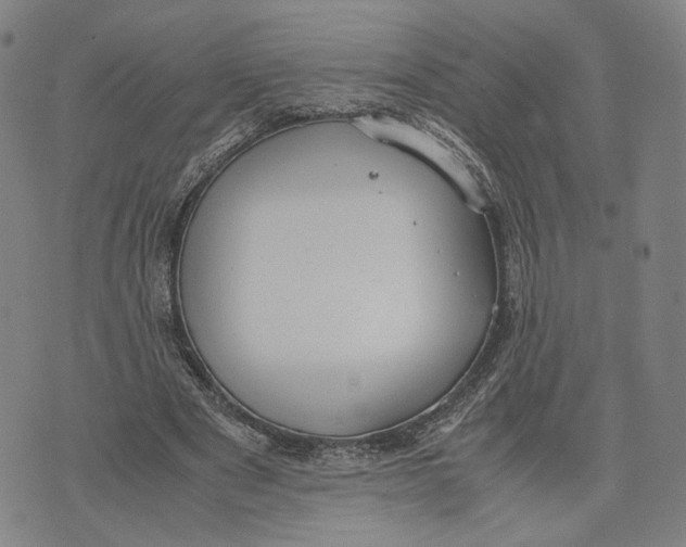 X0000071780489200607211601