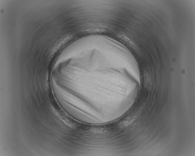 X0000071780490200607211600