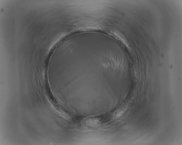 X0000071780491200607211600