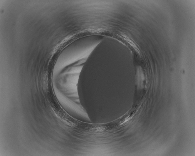 X0000071780492200607211600