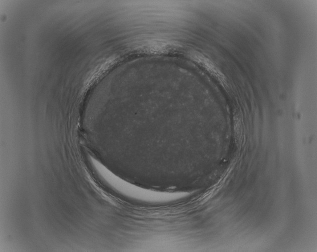 X0000071780493200607211600