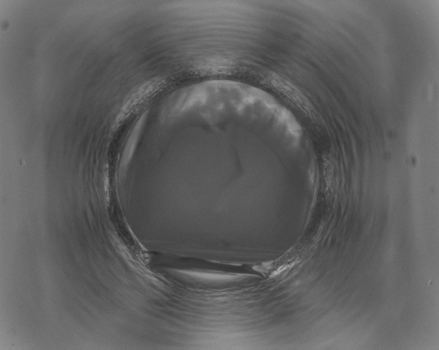 X0000071780494200607211600