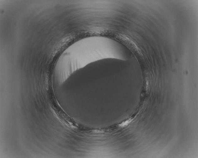 X0000071780496200607211600