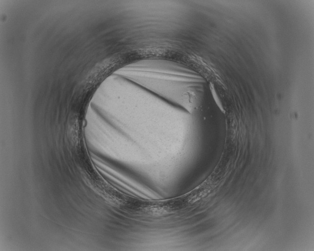 X0000071780498200607211600