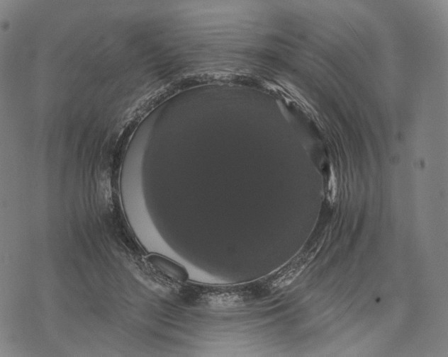 X0000071780500200607211600