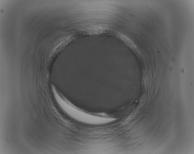 X0000071780501200607211600