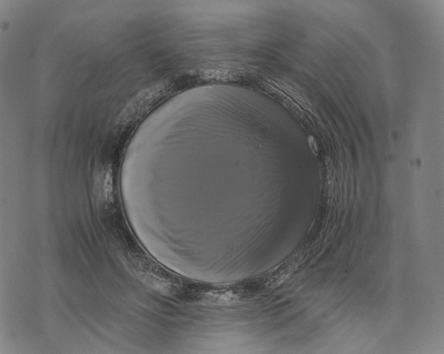 X0000071780502200607211600