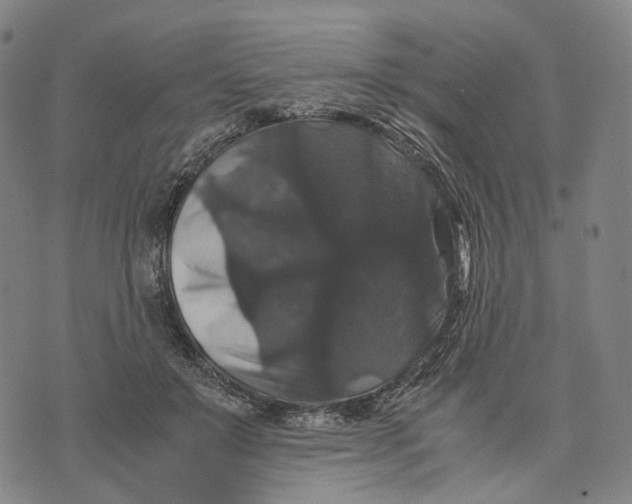 X0000071780503200607211600