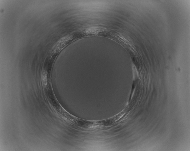 X0000071780504200607211600