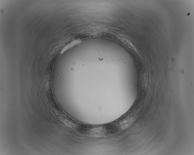 X0000071780505200607211600