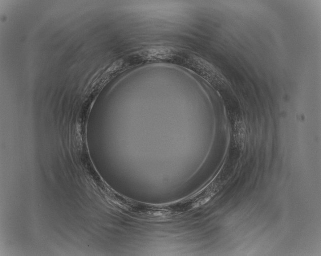 X0000071780506200607211600