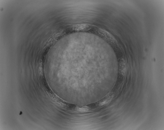 X0000071780510200607211600