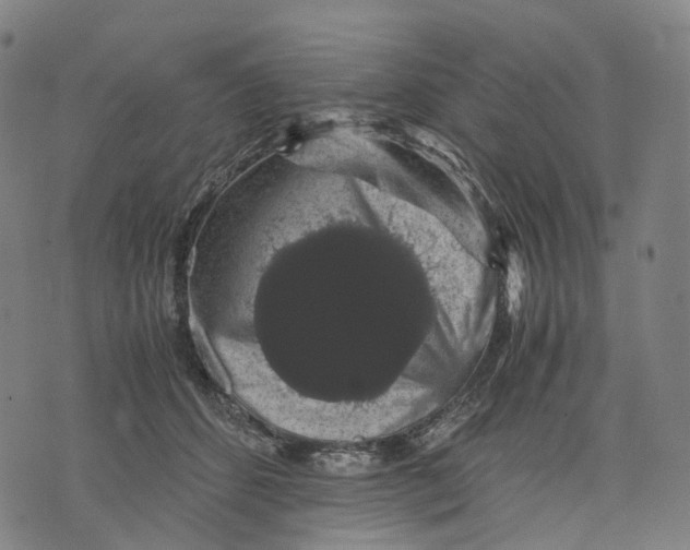 X0000071780512200607211600