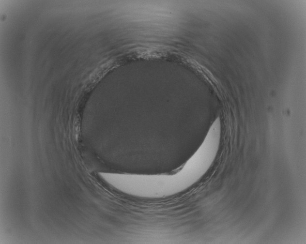 X0000071780513200607211600