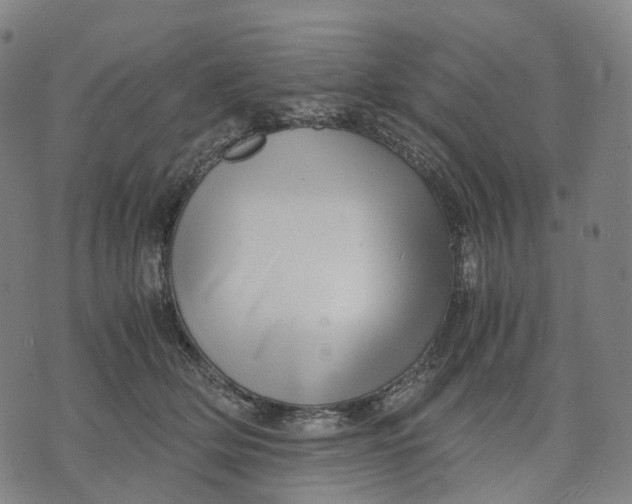 X0000071780514200607211600