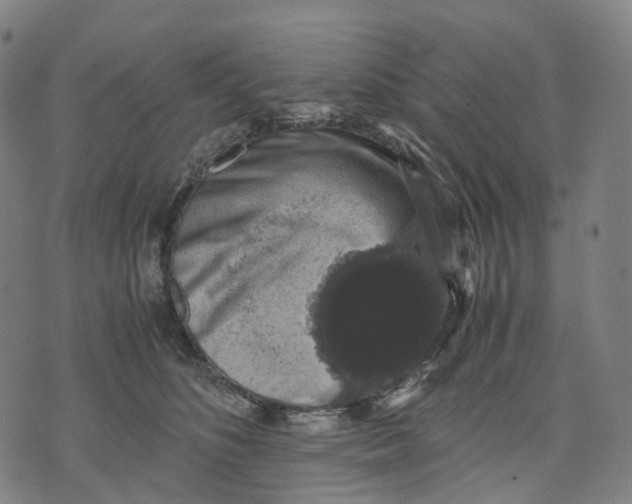 X0000071780516200607211600