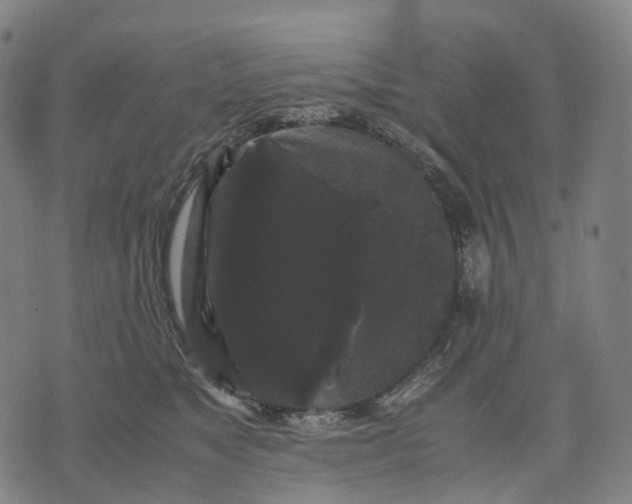 X0000071780517200607211600