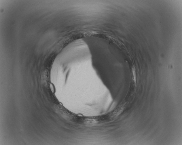 X0000071780519200607211600